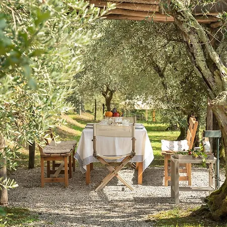 Il Vignale By Salogi Villa Lucca