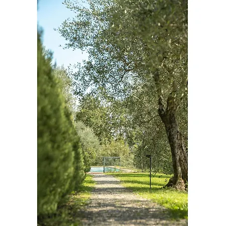 Il Vignale By Salogi Lucca