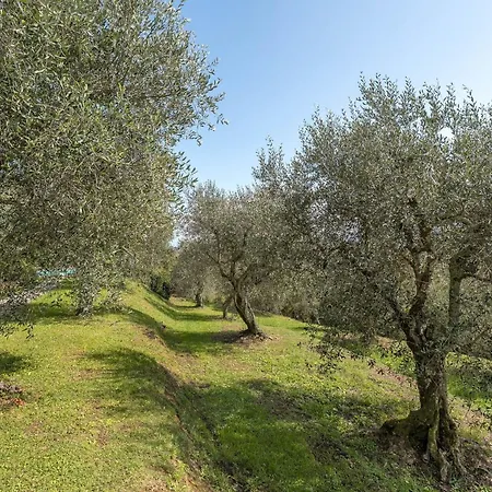 Il Vignale By Salogi Villa